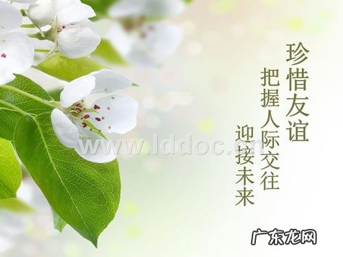 称赞友情,珍惜友情的句子 【抖音文案】珍惜友情的句子