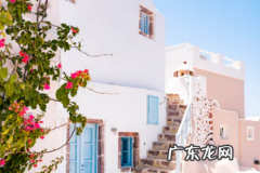 拼多多盗图被投诉了怎么办 拼多多盗图可以投诉么？怎么举报？被盗刷拼多多怎么追回来