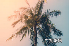 叮咚买菜推广员怎样 多多买菜自提点在哪里看？怎么看提成？叮咚买菜推广员工资怎么样