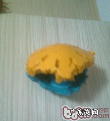 探讨小宠物异嗜癖