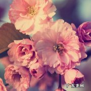 某某瞬间泪崩的句子 【抖音文案】亲情瞬间泪崩的句子