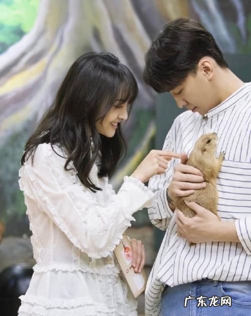 张恒和郑爽什么关系 张恒帮郑爽偷逃税被罚三千多万