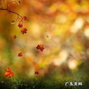 关于描写秋天的优美句子大全 【抖音文案】深秋唯美短句