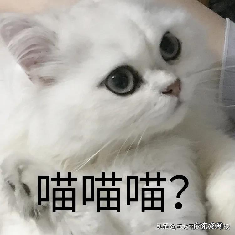 新手如何画好眼影 怎么画好眼妆