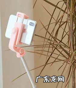 什么是重复铺货行为 拼多多重复铺货是什么意思?是怎么定义的?拼多多如何解除重复铺货