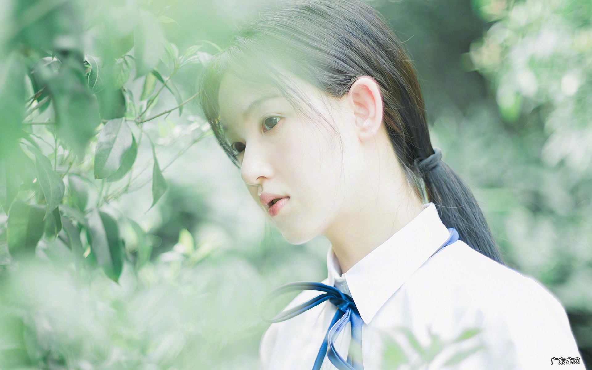 衬衣尺寸对照表404142 请问:衬衫38、39、40这种数字尺寸对应什么身材？