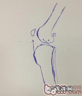 犬后面坡行,前十字韧带开裂的医治FAQ