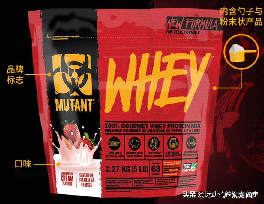 五款蛋白粉测评推荐 健身蛋白粉哪个牌子口碑好