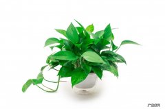 教你快速入住的几个方法 出租房装修多久能入住