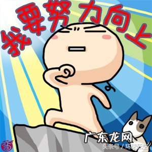 直升机驾照多少钱 ?什么条件可以考?