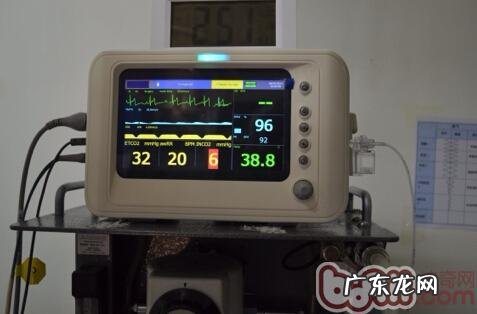 松狮狗膝盖骨手术治疗与麻醉剂出现意外应急处理