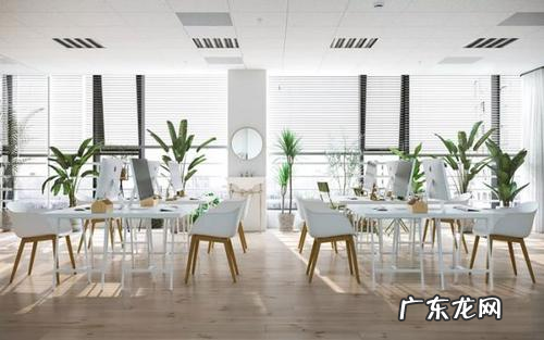 拼多多个人开店流程 拼多多开专卖店需要什么条件？拼多多开店要求拼多多我都不敢开店了