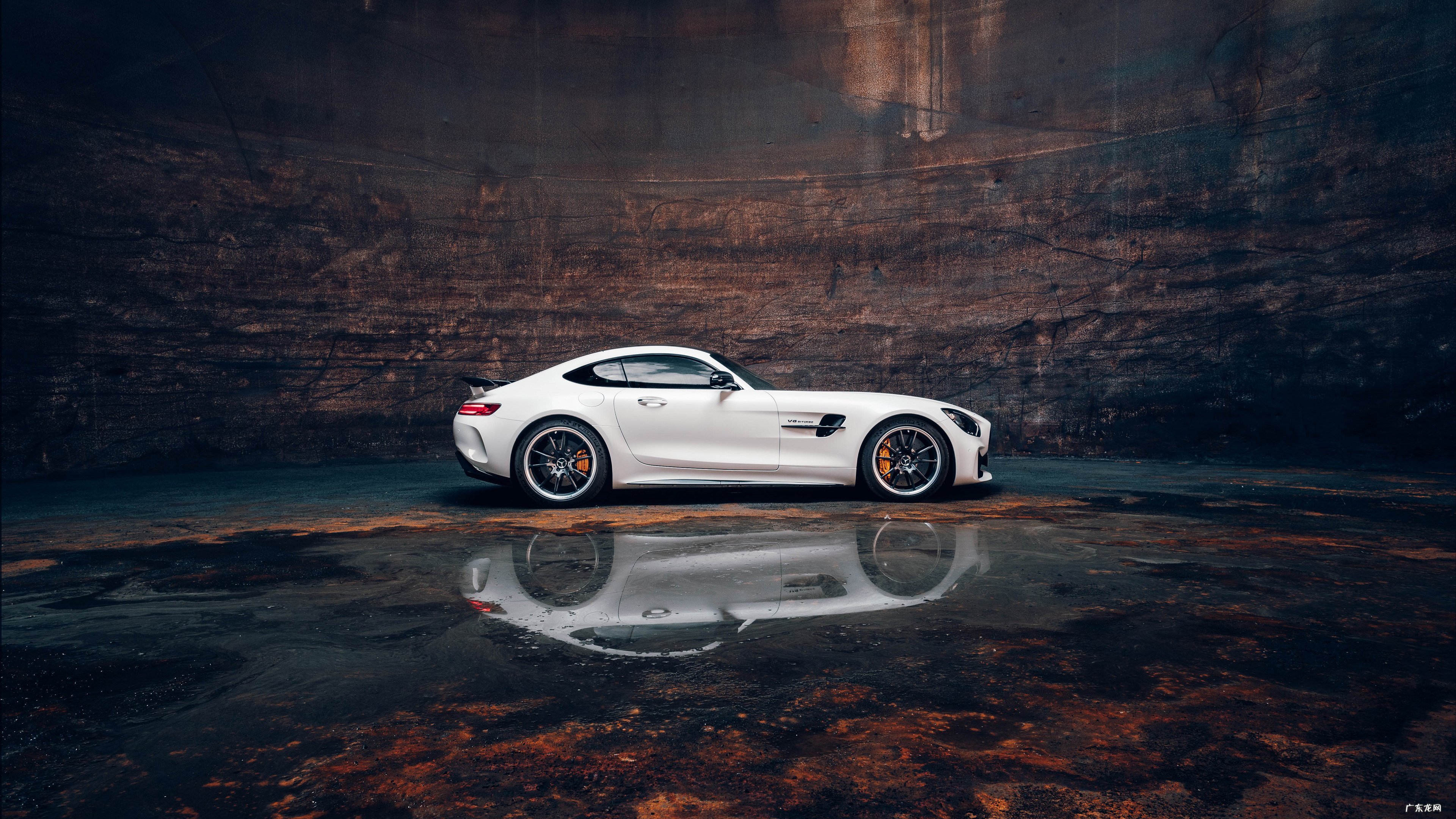 运动减肥的最好方法 哪一种运动方式在减肥的同时也可以练到肌肉？