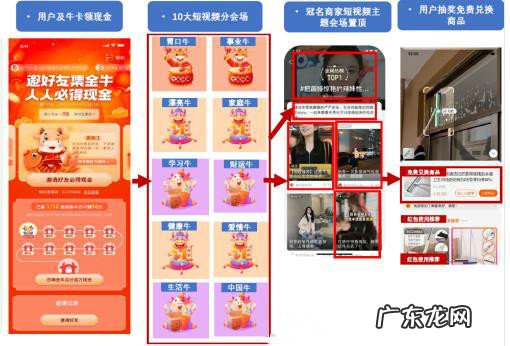 2021点淘APP春节牛年会场冠名招商规则是什么?