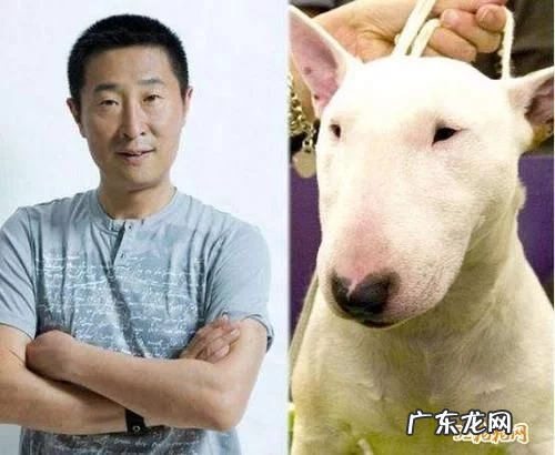 梅尼耶为什么这么火?“梅尼耶财团”究竟是不是真的存在?