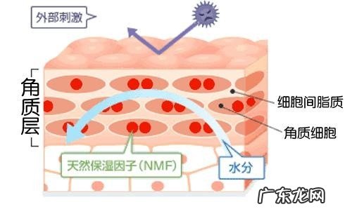 去角质的小窍门简单有效 面部去角质有必要吗