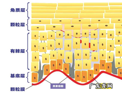 去角质的小窍门简单有效 面部去角质有必要吗