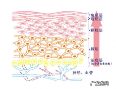 去角质的小窍门简单有效 面部去角质有必要吗