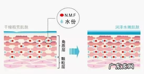 去角质的小窍门简单有效 面部去角质有必要吗
