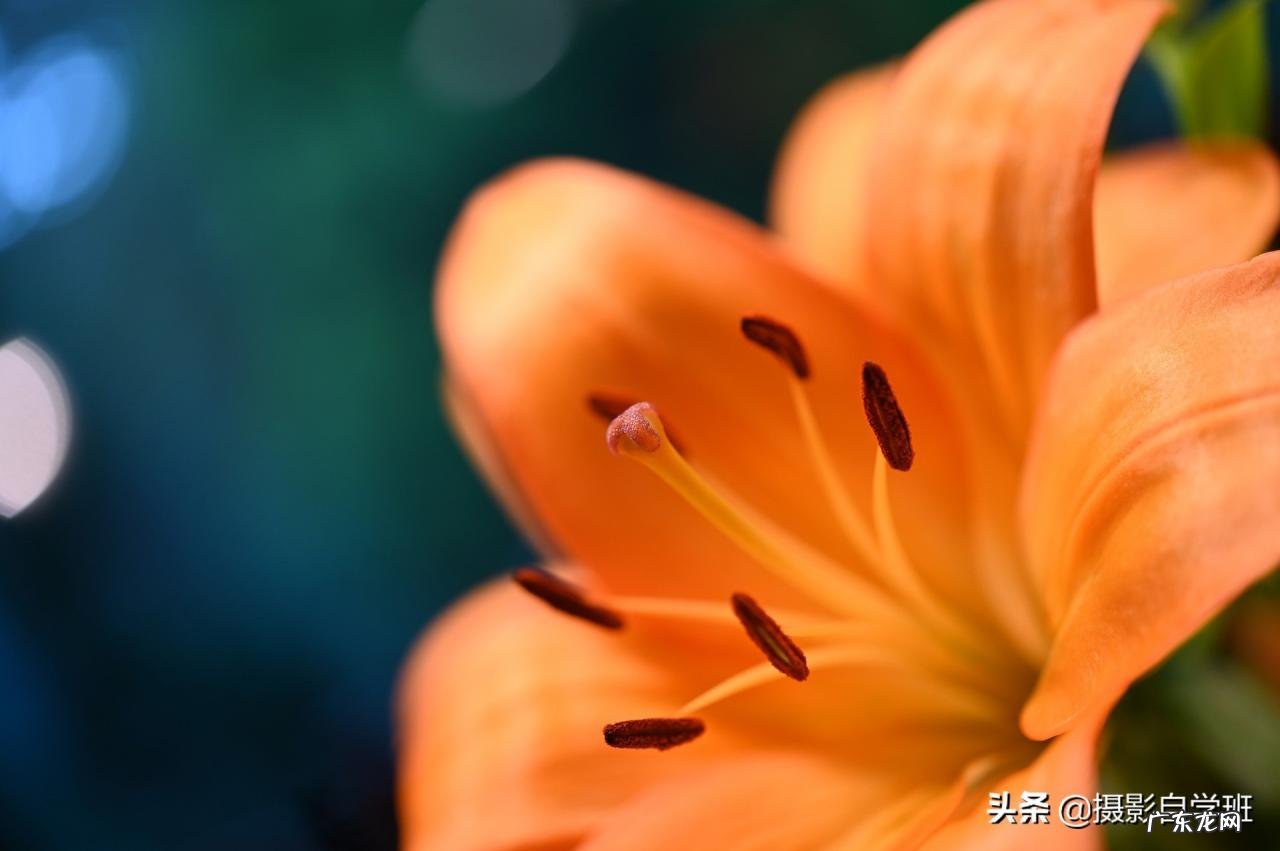 手机镜头模糊不清怎么回事?摄影师告诉你7大注意事项