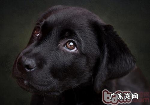 细微病毒潜伏期可测出去吗