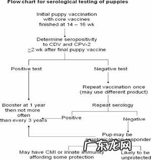 针对小宠物免疫系统的新意识