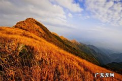 卖家参加淘宝活动需要注意什么？