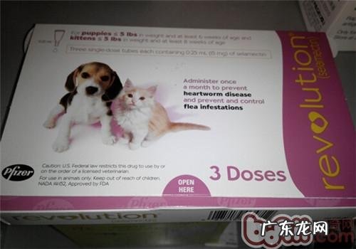 夏天裂头蚴之——虱子