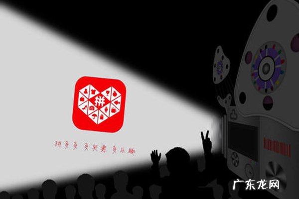 领航员是干什么的 拼多多领航员在哪里看?内容有什么?林肯最新款领航员