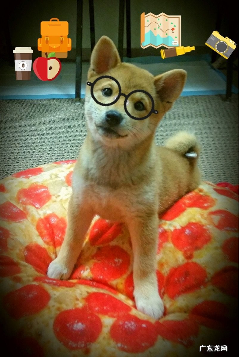 节食后怎么都吃不胖了 都说减肥不能节食，那究竟该怎么吃？怎么吃饭叫不节食还能减肥？