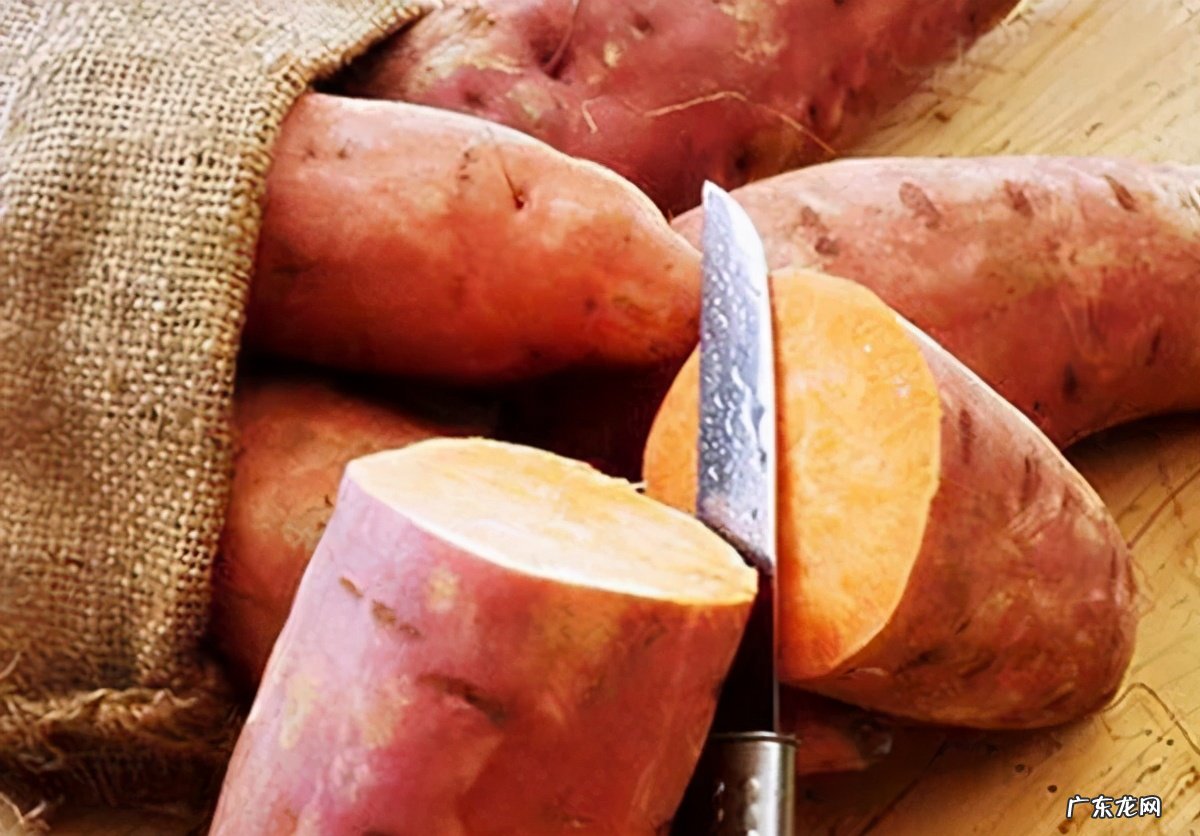 粗粮食品有哪些?这几种粗粮不仅好吃还健康