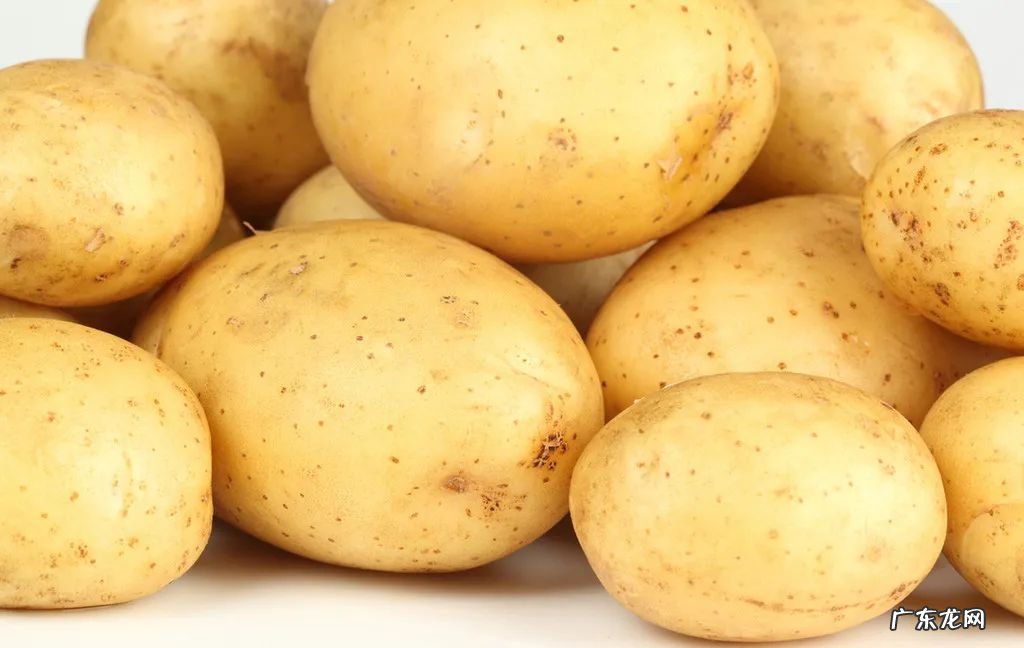 粗粮食品有哪些？这几种粗粮不仅好吃还健康