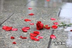 对感情宁缺毋滥是什么意思 宁缺毋滥是什么意思对于爱情是