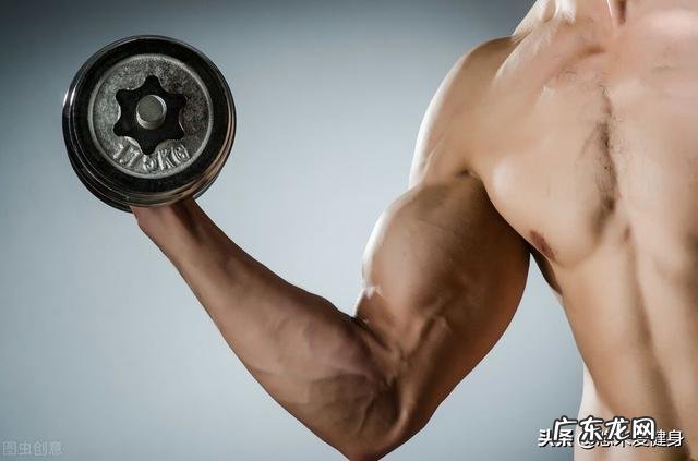 初学者家庭哑铃健身最佳方案是什么？