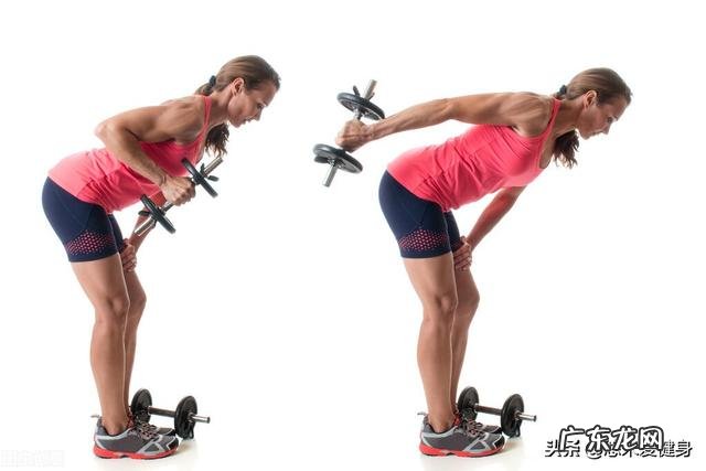 初学者家庭哑铃健身最佳方案是什么？