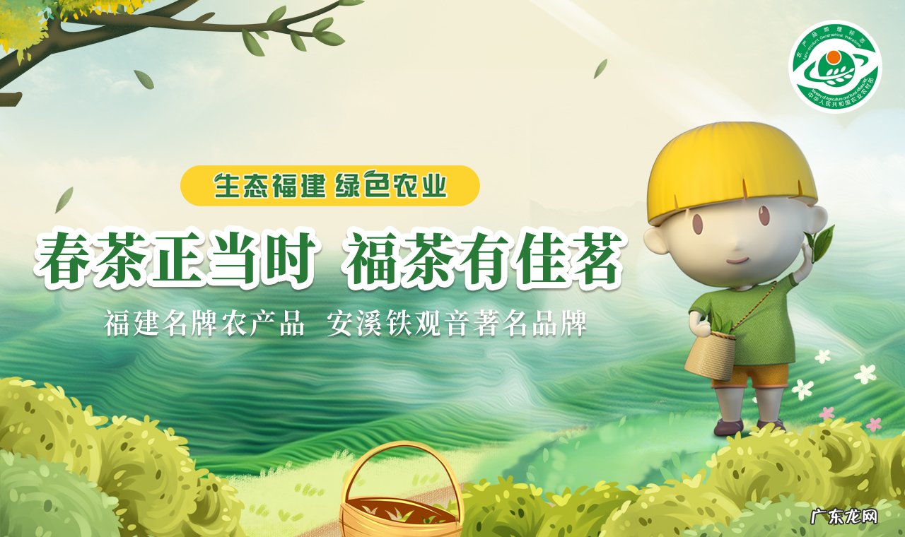 什么品牌的铁观音好?铁观音哪家好?