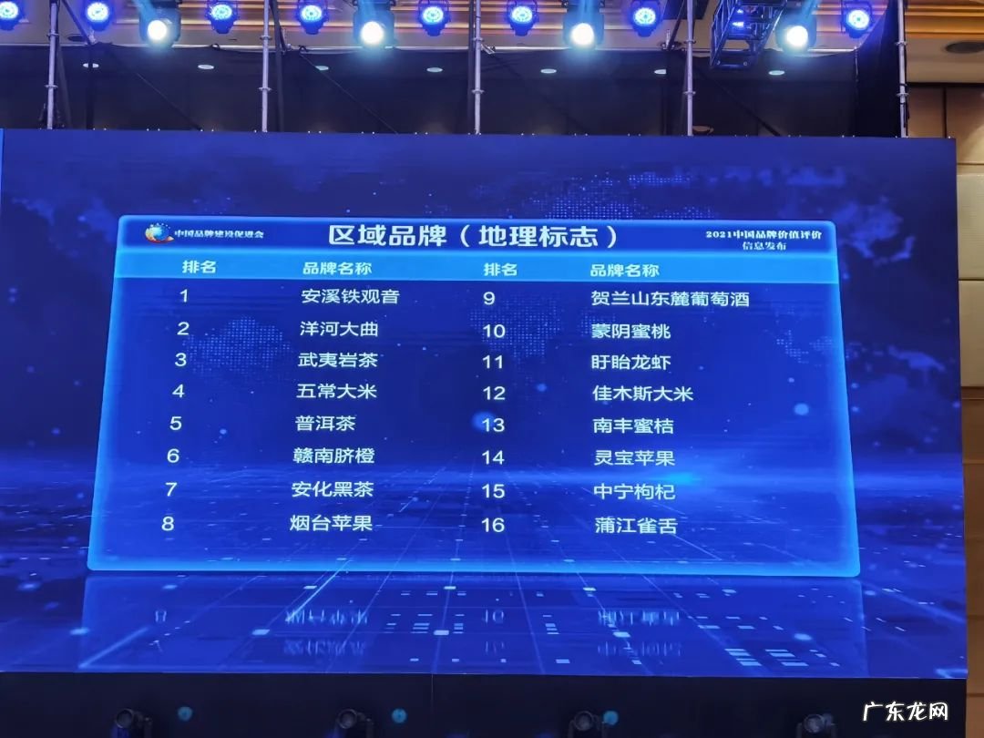 什么品牌的铁观音好?铁观音哪家好?