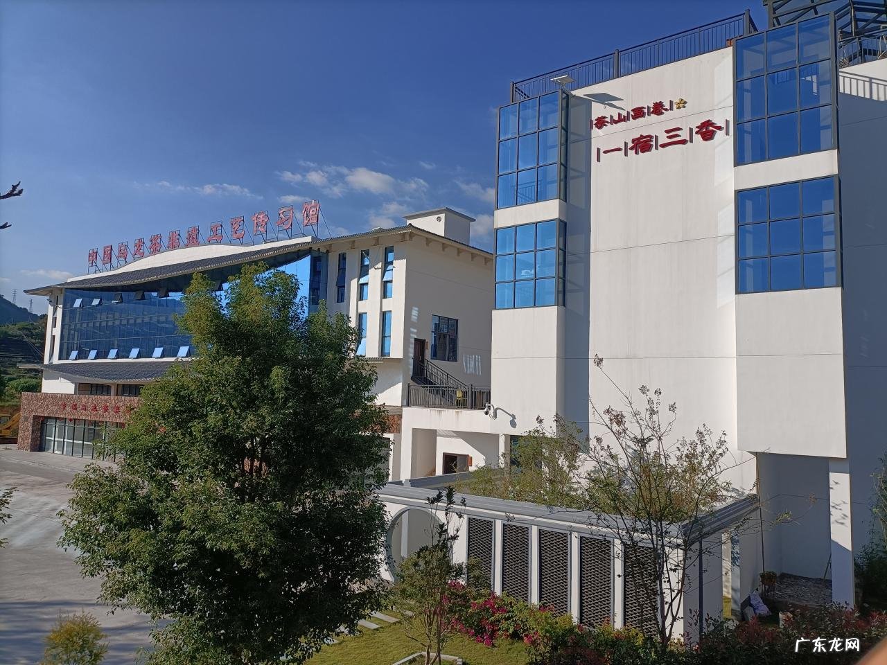 什么品牌的铁观音好?铁观音哪家好?