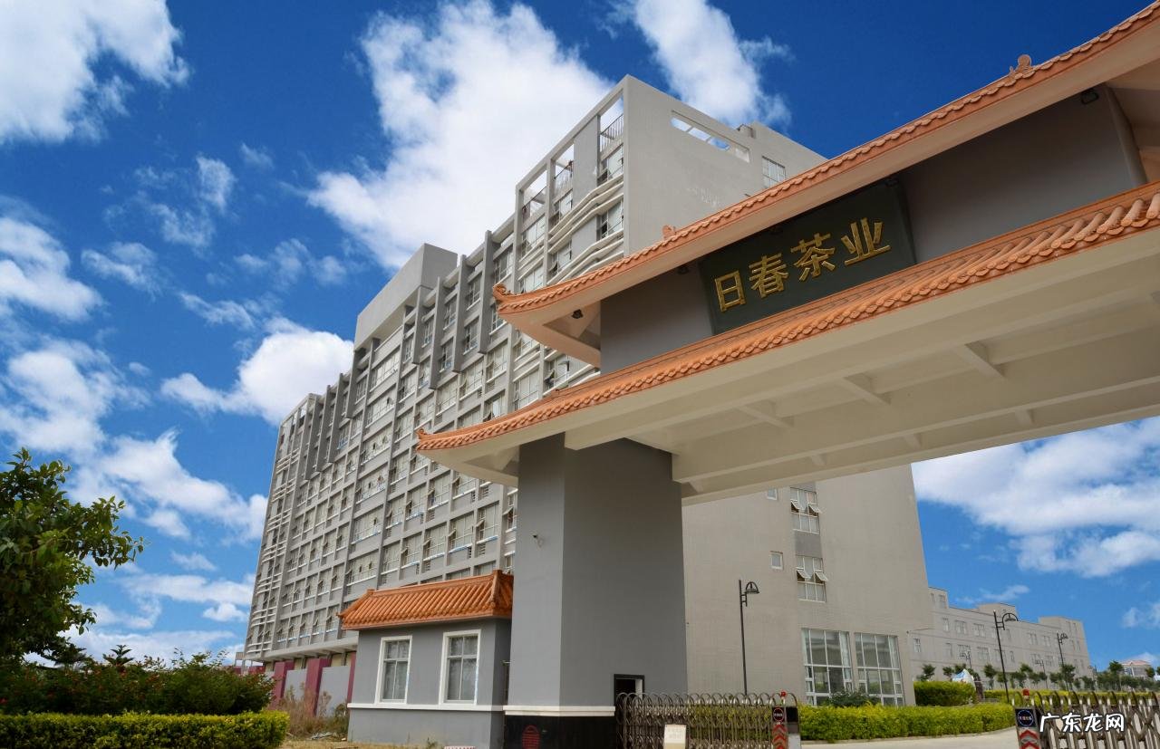 什么品牌的铁观音好?铁观音哪家好?