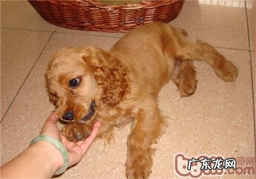 怎么治疗可卡生完孩子低血钙