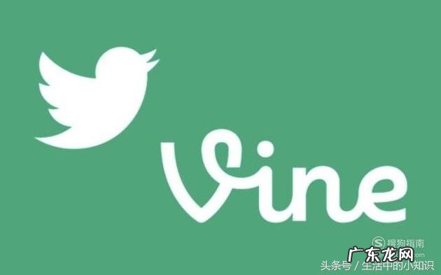 金秒奖的诞生和由来 金秒奖是什么