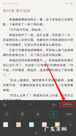 熊猫看书怎么改字体
