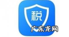 个人所得税怎么查一年的工资纳税情况