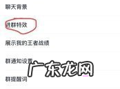 QQ如何取消进群特效QQ进群特效取消教程步骤