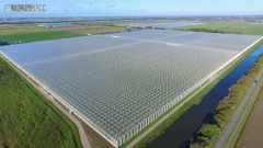 智能农业大棚设计方案 农业智能大棚系统设计及应用