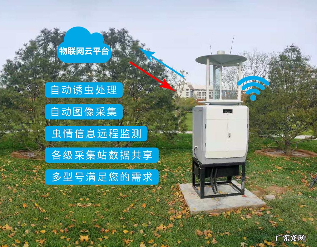 智能农业大棚设计方案 农业智能大棚系统设计及应用