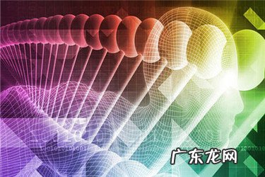 淘宝宝贝分类管理有什么用?附分类技巧