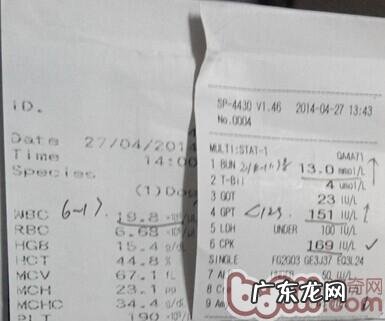 一例杜宾犬的胸腔积水的病例分析