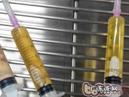 一例杜宾犬的胸腔积水的病例分析