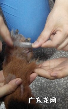 皮肤疾病普遍查验方式